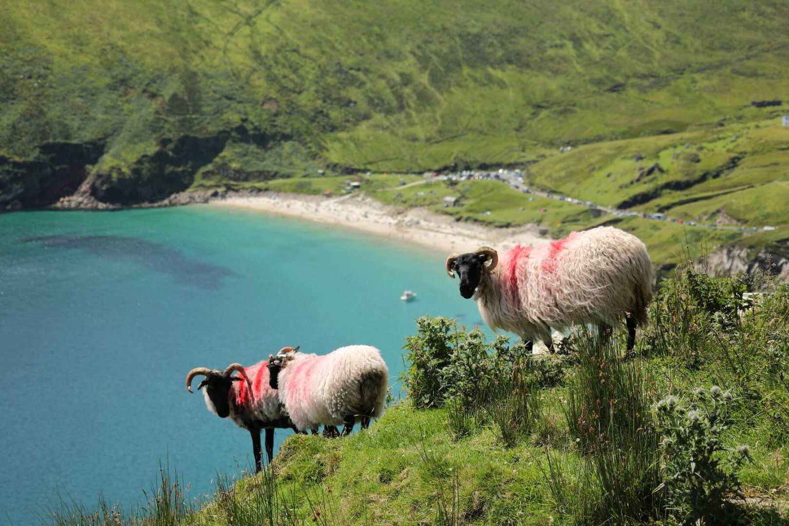 Keem Bay, Achill Island, Co Mayo | Ireland Chauffeur Travel
