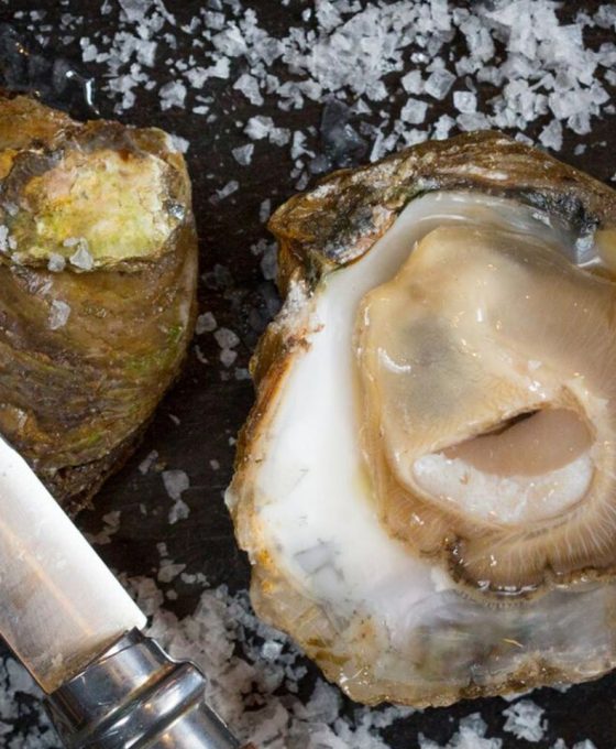 Oyster Season Begins in Ireland