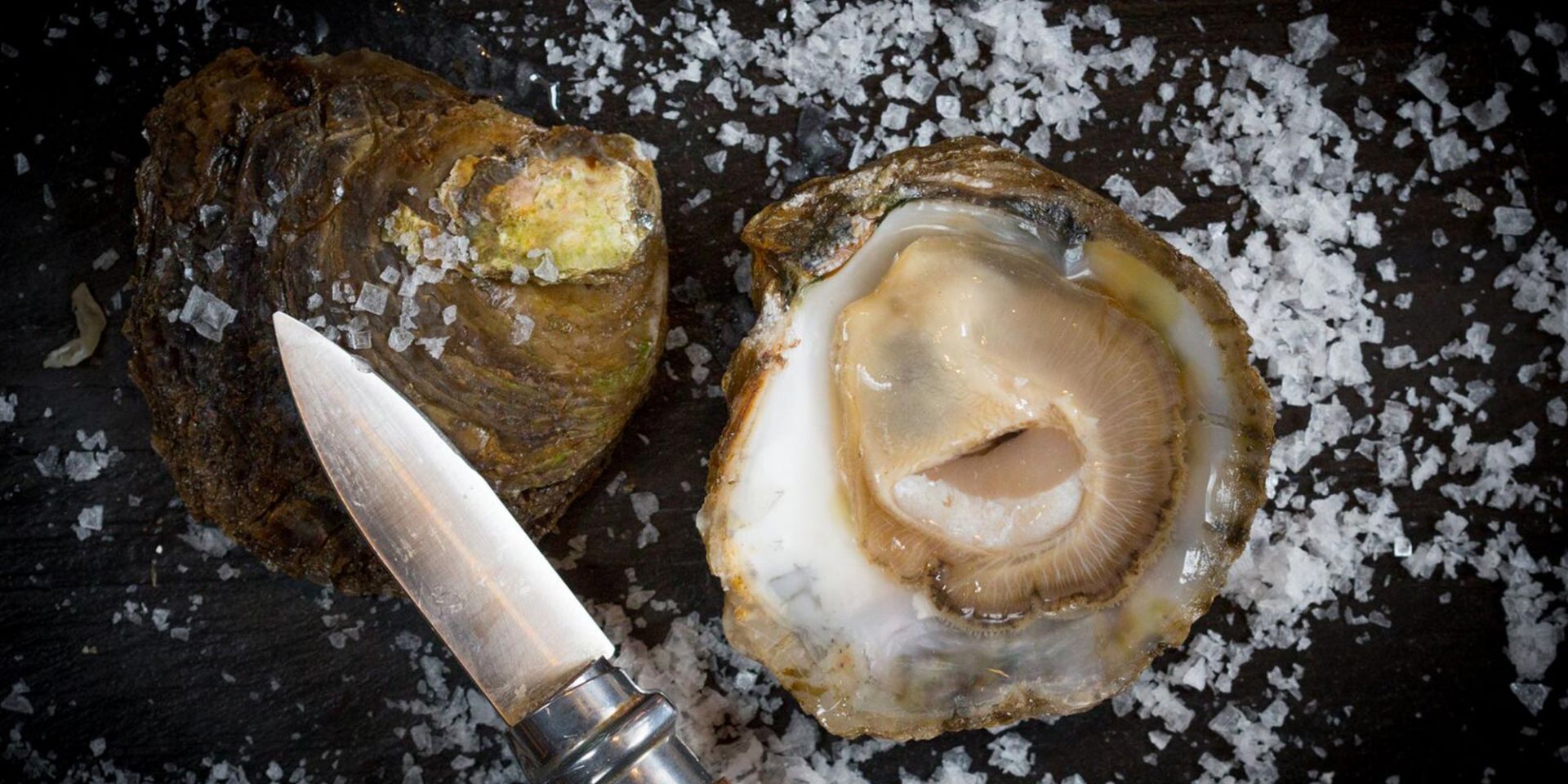 Oyster Season Starts in Ireland