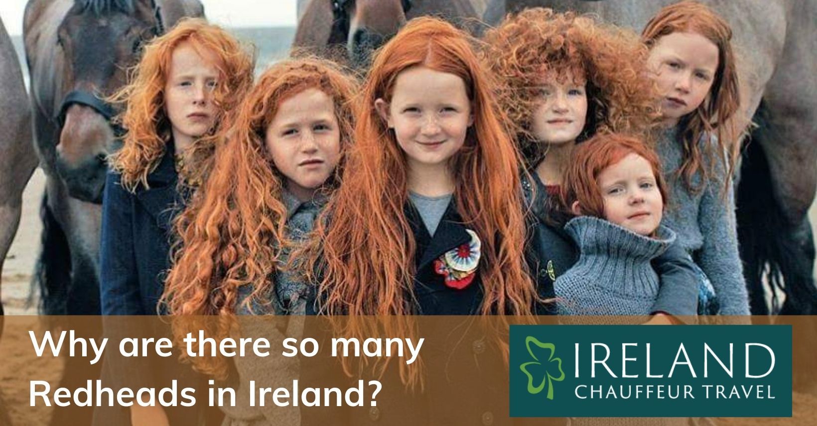 Why are many redheads in Ireland? | Ireland Chauffeur Travel