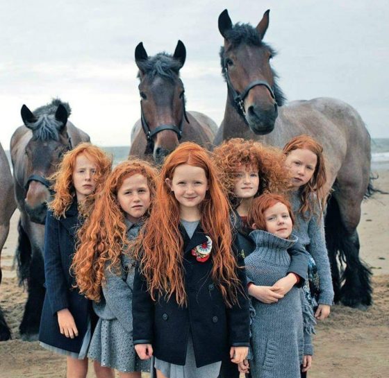 Why are there so many redheads in Ireland? | Ireland Chauffeur Travel Why are there so many redheads in Ireland? | Ireland Chauffeur Travel