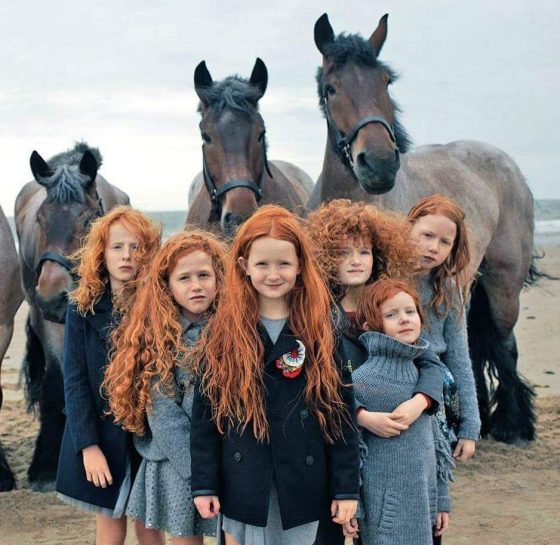 ovn det kan ordningen Why are there so many redheads in Ireland? | Ireland Chauffeur Travel