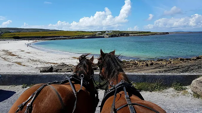 Aran Islands Pony Trap Tour | Ireland Chauffeur Travel