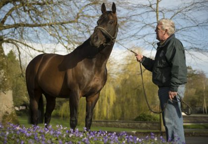 Invincible Spirit, Irish National Stud, Ireland Chauffeur Travel