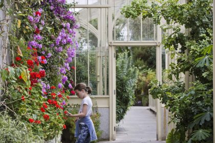 National Botanic Gardens | Ireland Chauffeur Travel