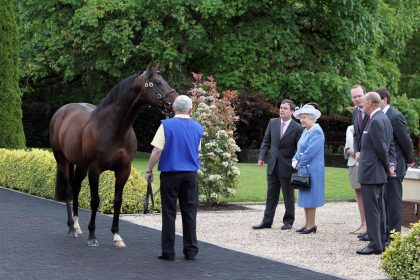 Royal visit to the Irish National Stud | Ireland Chauffeur Travel 