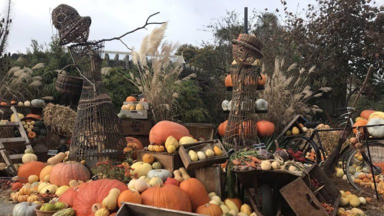 Autumn scene | Ireland Chauffeur Travel